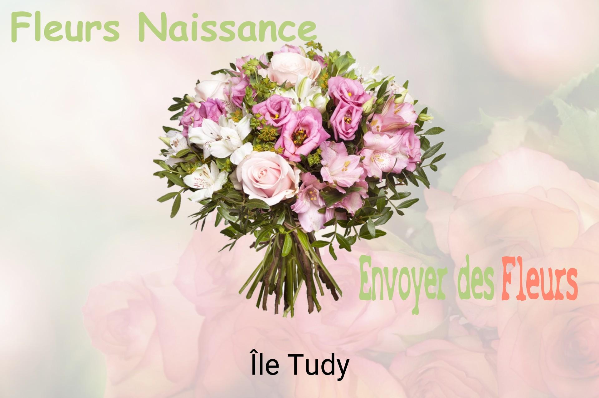 Bouquet de fleurs de naissance livré à Île-Tudy